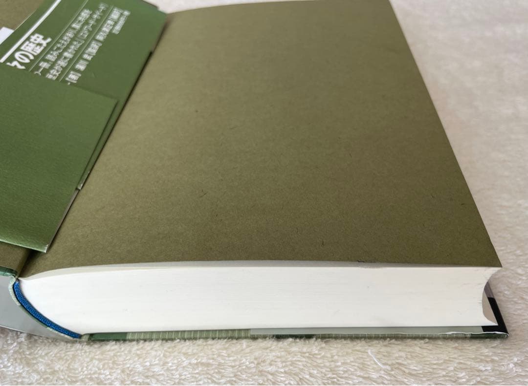 ぽんさま用　アヴィセンナ『医学典範』日本語訳