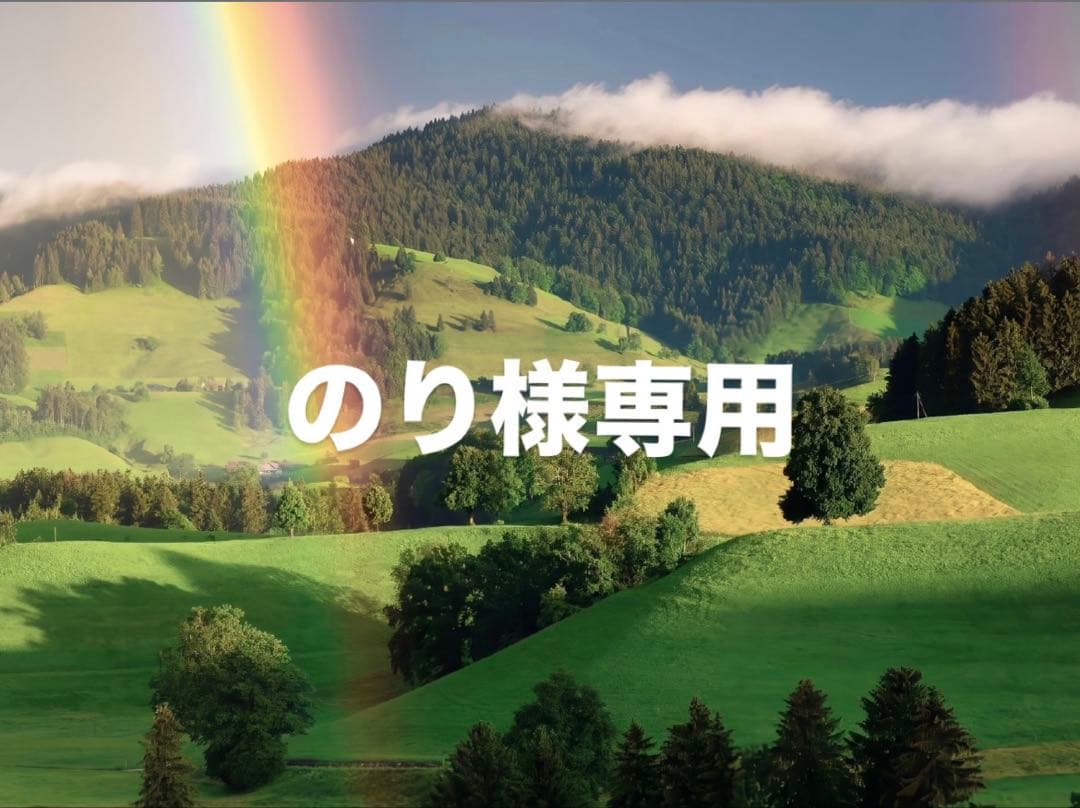 のりページ 2024】Ninja ZX－25R SE／KRT EDITION