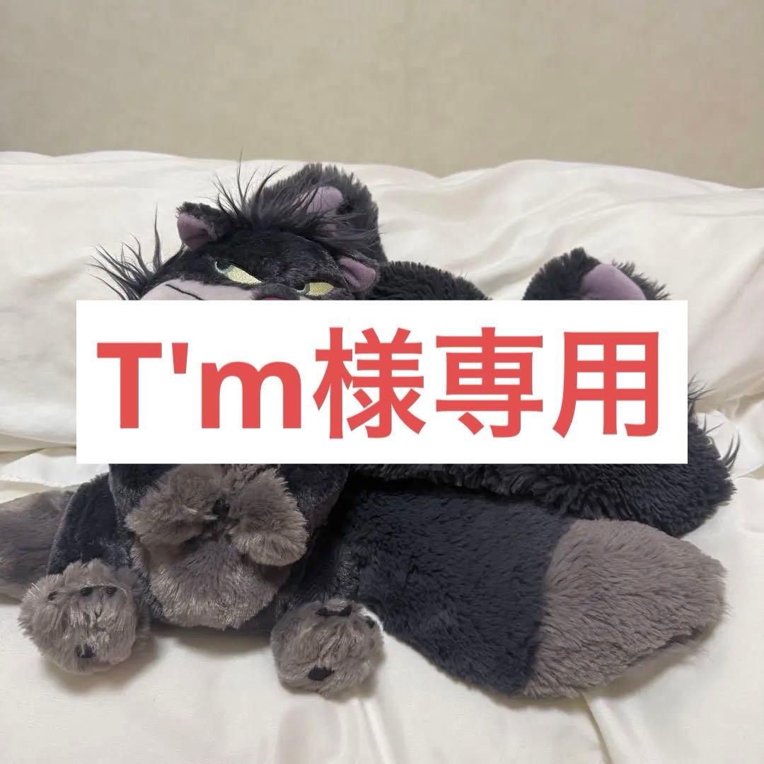 T'm ルシファーファンキャップ・ショルダーバッグ 7895a9383cfc2a75a48597dc76a86e