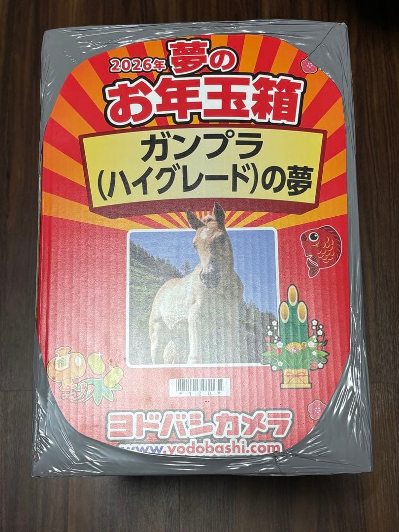 2026年 ヨドバシカメラ 福袋 ハイグレードの夢 ガンプラ ヨドバシカメラ お年玉箱 2026 ガンプラ ハイグレードの夢 HG 福袋