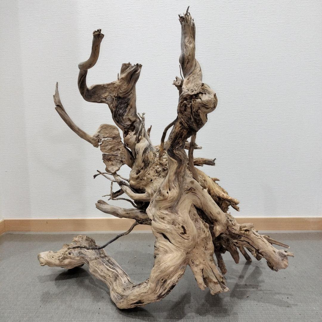 No.808】大型爬虫類レイアウト流木 爬虫類レイアウト✫インテリア