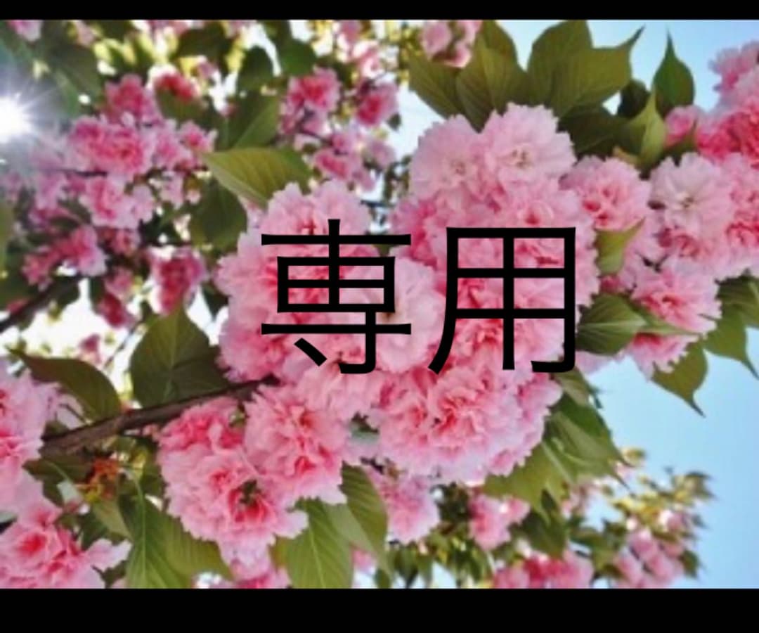 西川Air 01 ハード　セミダブル nishikawa [ AiR01 ] マットレス / セミダブル 西川 エアー01 寝具