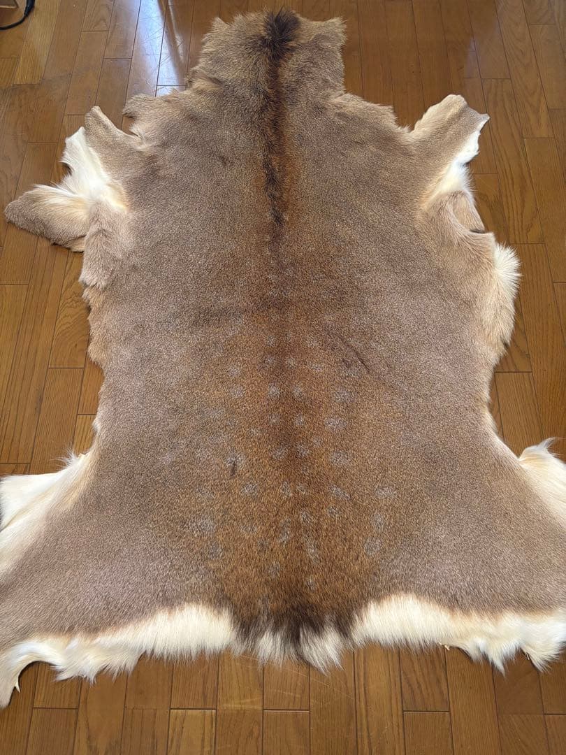 だ*ぶ様 蝦夷鹿毛皮ラグ　天然　バンビ 鹿革 ラグマット エゾシカ 蝦夷鹿 敷物 鹿皮オス 冬毛 エゾシカ 毛皮