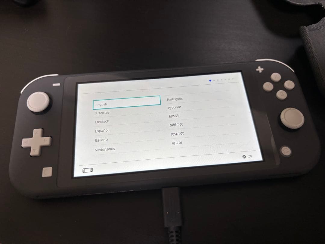 【極美品】Switch LITE カバー付き本体 Nintendo Switch Lite専用 本体ハードカバー 保護ケース 保護カバー