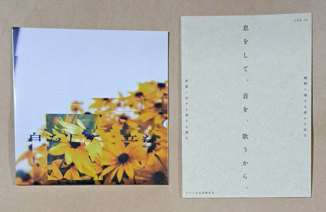 アメリカ民謡研究会【息をして。音を、歌うから。(CD&ライナーノーツ)】 息をして。音を、歌うから。(レコード+CD+DL) - アメリカ民謡研究会