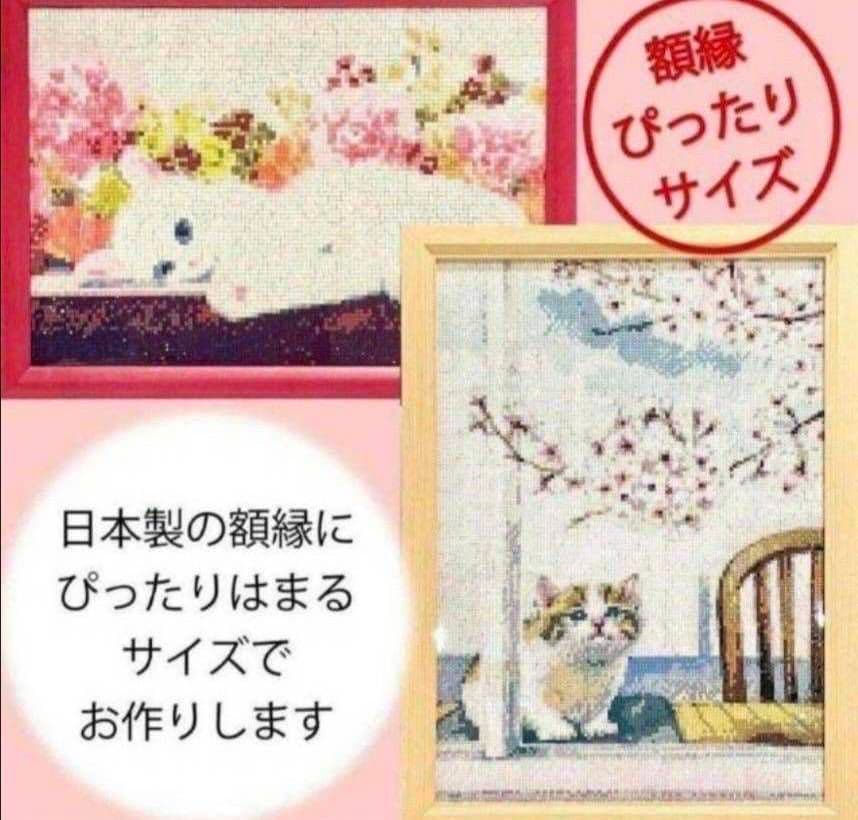 夢来☆
