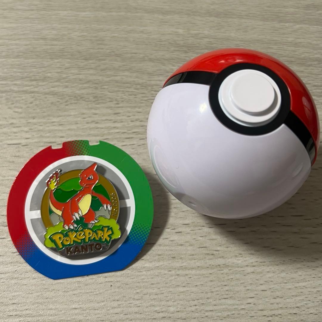 ポケパークカントー リザード ピンズ ピンバッジ ポケモン バッジ