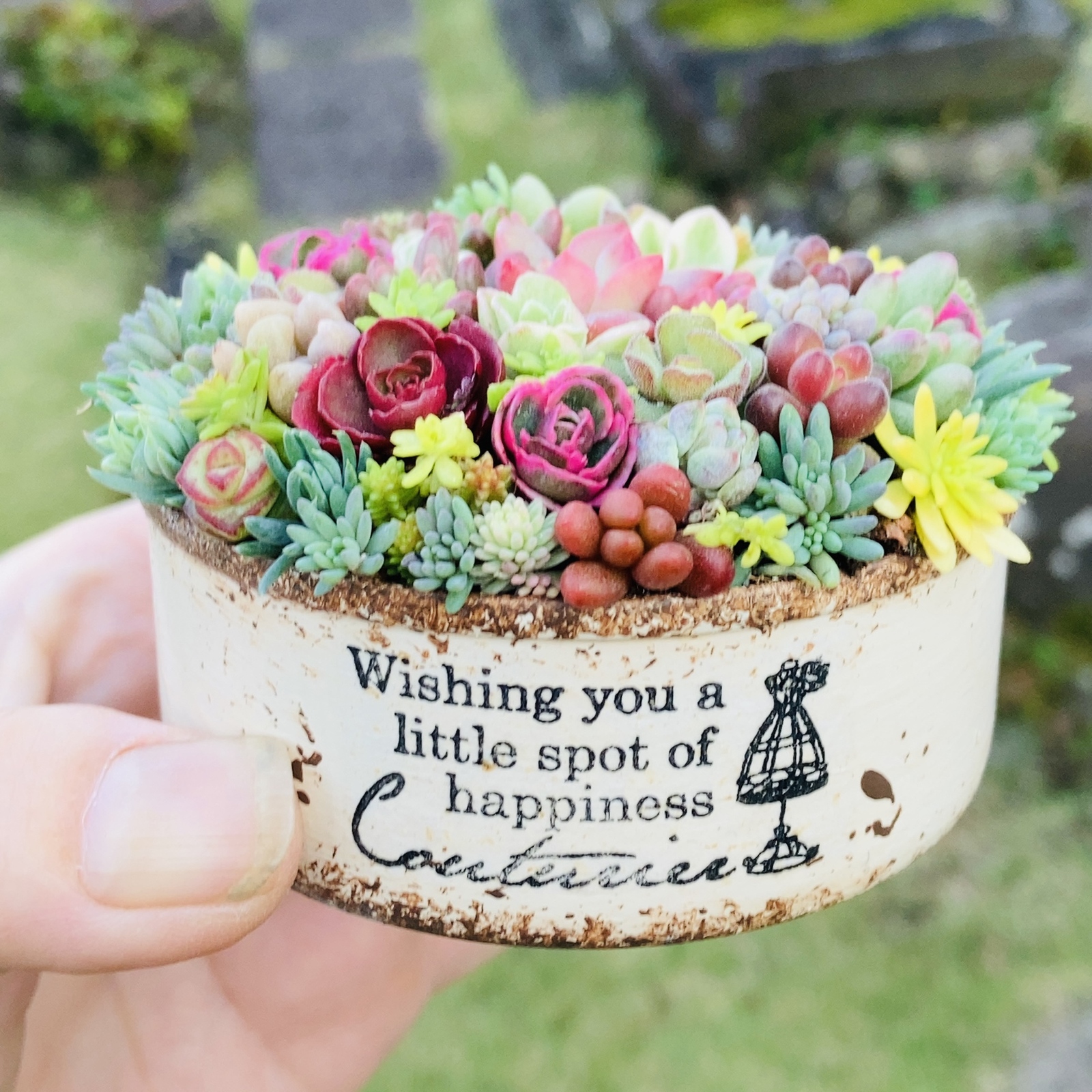 オーダー承ります 多肉植物寄せ植えそのまま飾れる ブーケ寄せ