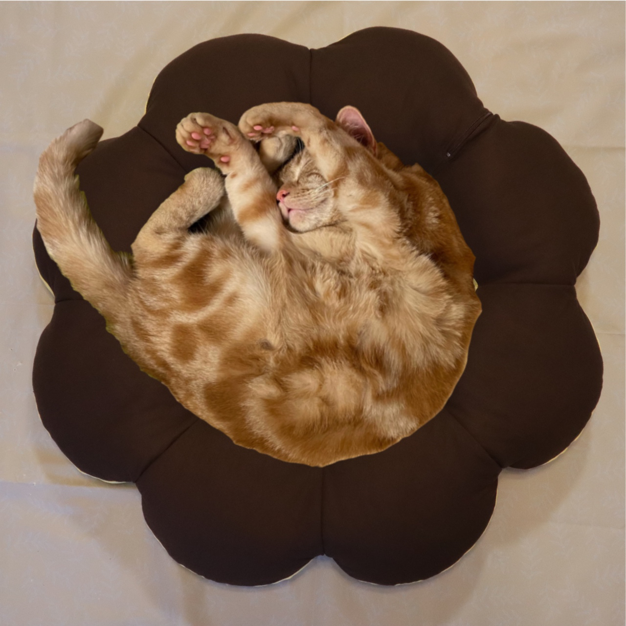 猫ベッドの人気通販 | minne byGMOペパボ 国内最大級のハンドメイド