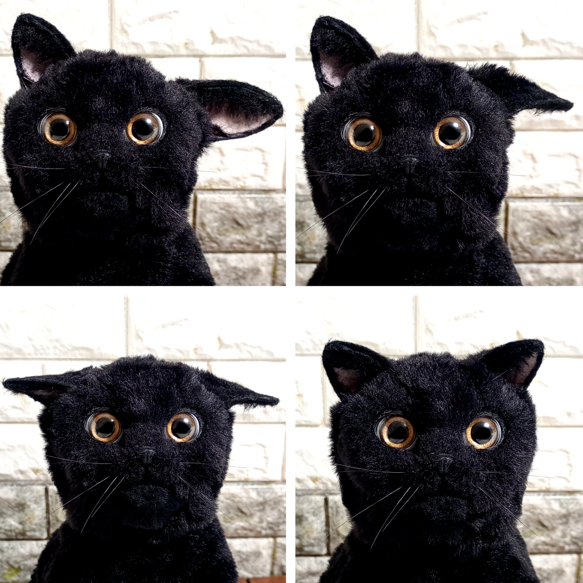自在猫】 自在に可動できるリアルな黒猫の実物大アートドール 【FD