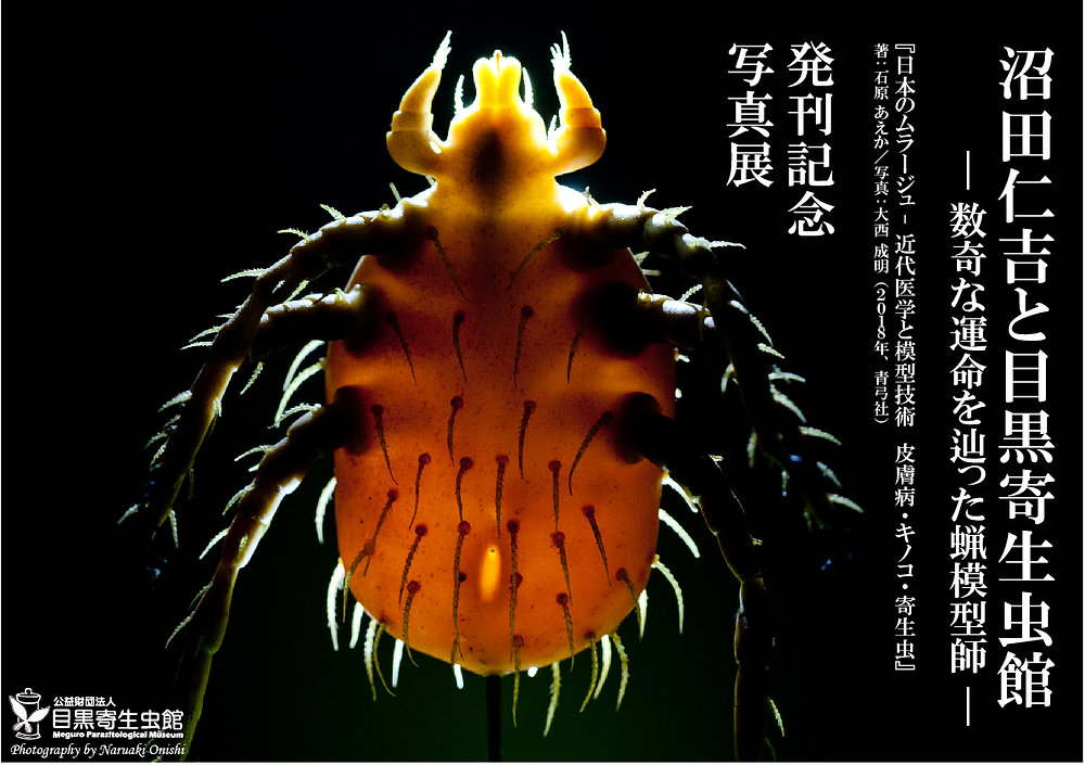 写真展「沼田仁吉と目黒寄生虫館－数奇な運命を辿った蝋模型師」