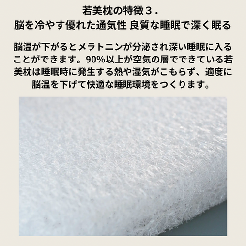 若美枕 寝ながら整う枕 | リリース鍼灸院
