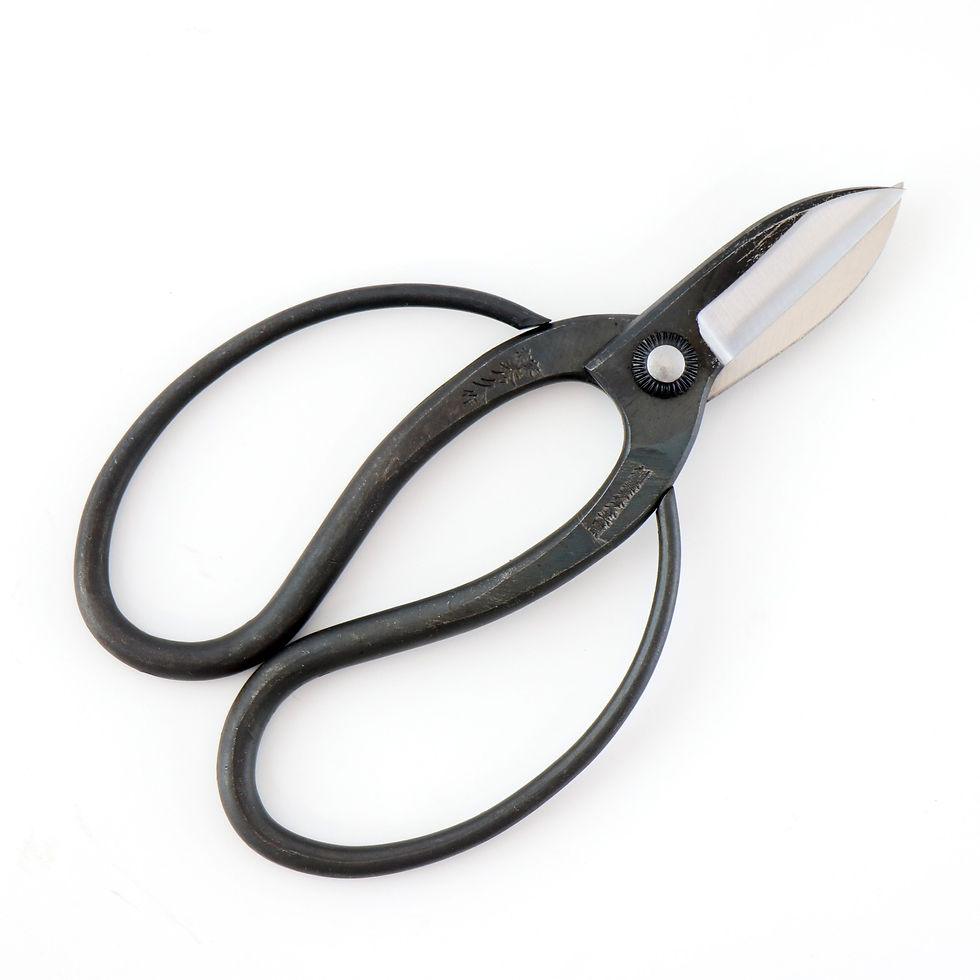 TSS10 ビカク ハサミ - bikaku scissors- stainless steel | 株式会社