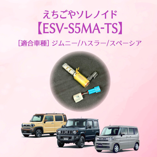 ESV-S5MA-TS】えちごやソレノイド | ガレージえちごや