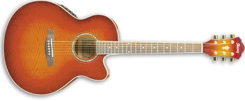 AEL20E | Ibanez Wiki | Fandom