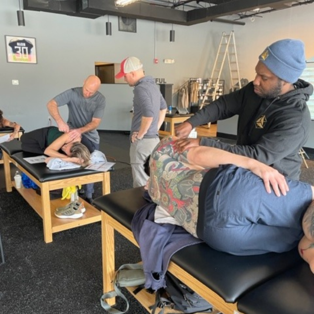 Fascial Manipulation®/Stecco® 2025 Fall Course Bundle