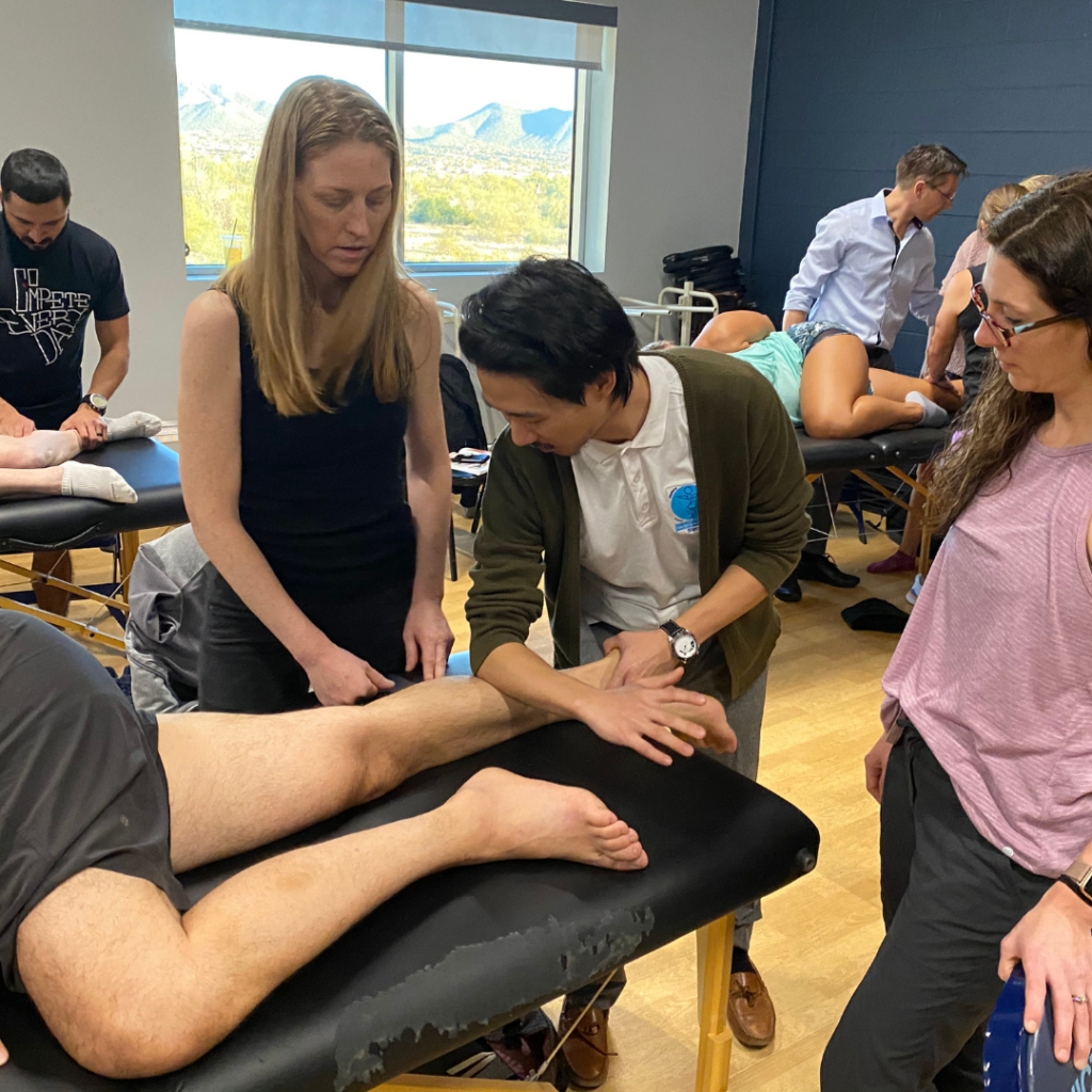 Fascial Manipulation®/Stecco® 2025 Fall Course Bundle