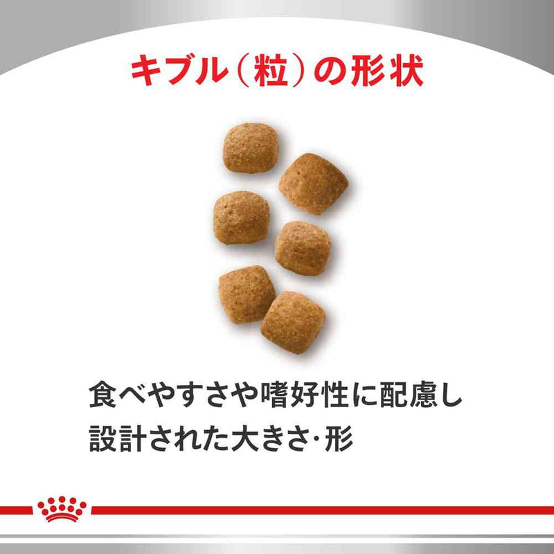 猫用 ニュータードケア 3.5kgx1